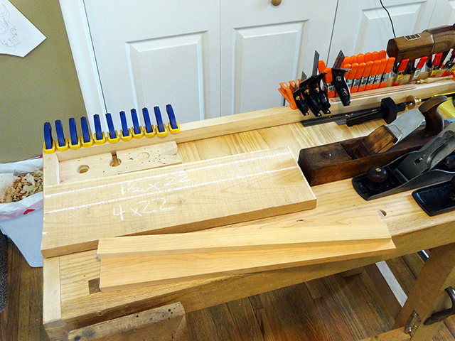 Mosquito_Rose_Shadowbox_DSC03883.JPG