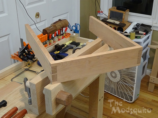 Mosquito_Rose_Shadowbox_DSC03937.jpg