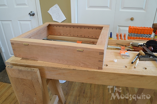 Mosquito_Rose_Shadowbox_DSC_0296.jpg