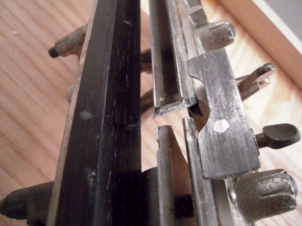 DSCN3555.jpg