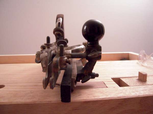 DSCN3556.jpg